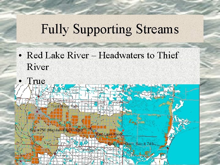 Fully Supporting Streams • Red Lake River – Headwaters to Thief River • True