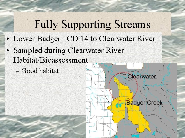 Fully Supporting Streams • Lower Badger –CD 14 to Clearwater River • Sampled during
