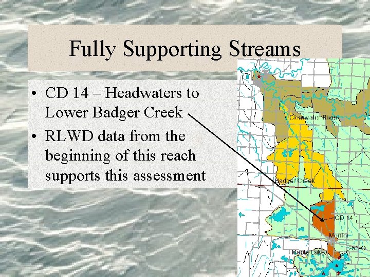 Fully Supporting Streams • CD 14 – Headwaters to Lower Badger Creek • RLWD