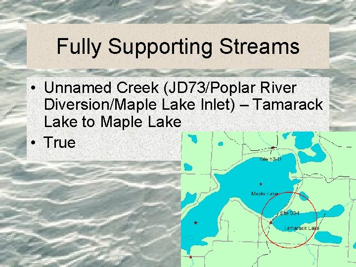 Fully Supporting Streams • Unnamed Creek (JD 73/Poplar River Diversion/Maple Lake Inlet) – Tamarack