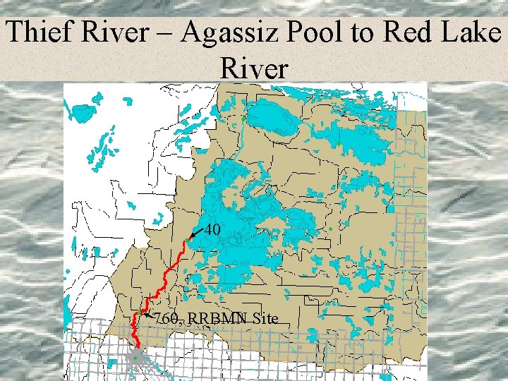 Thief River – Agassiz Pool to Red Lake River 40 760, RRBMN Site 