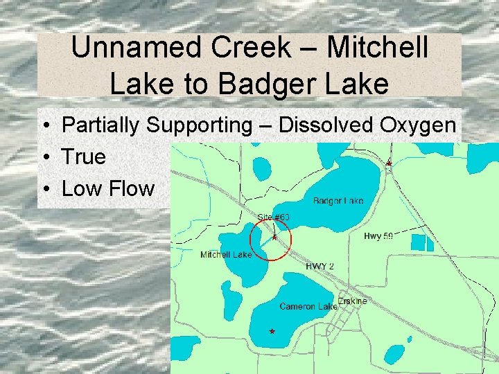 Unnamed Creek – Mitchell Lake to Badger Lake • Partially Supporting – Dissolved Oxygen