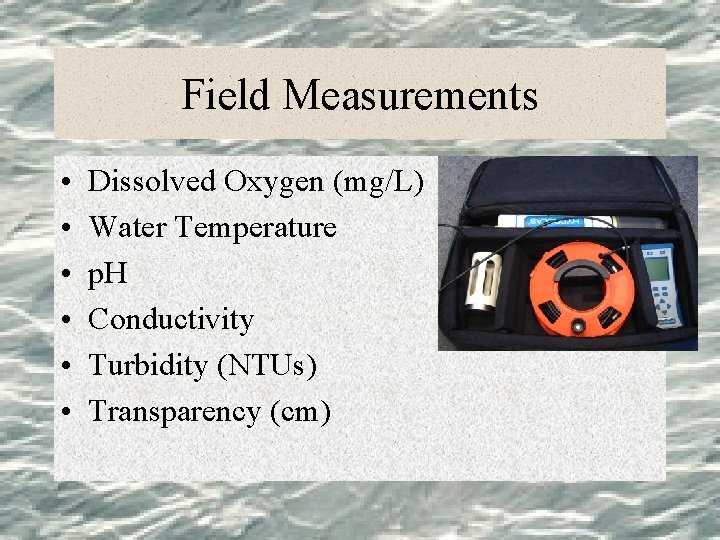 Field Measurements • • • Dissolved Oxygen (mg/L) Water Temperature p. H Conductivity Turbidity