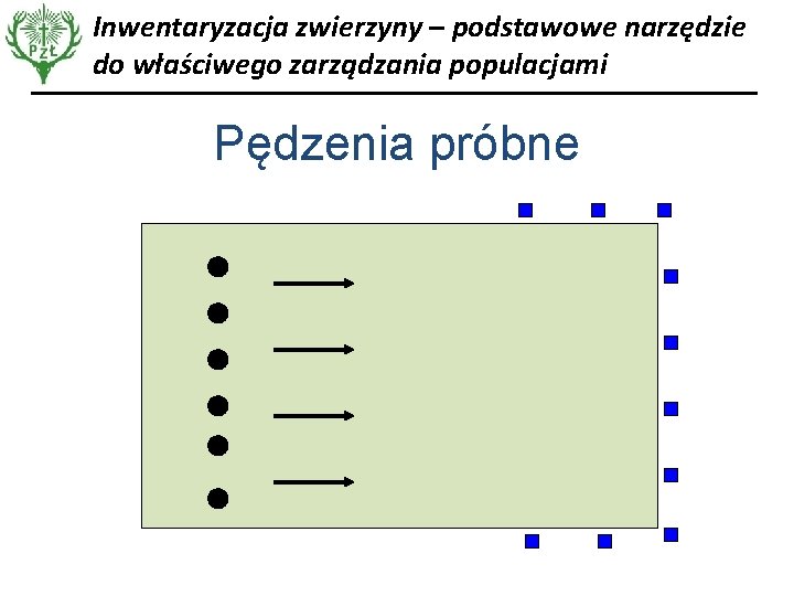 Inwentaryzacja zwierzyny – podstawowe narzędzie do właściwego zarządzania populacjami Pędzenia próbne 