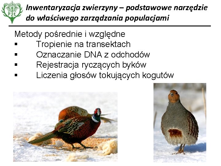 Inwentaryzacja zwierzyny – podstawowe narzędzie do właściwego zarządzania populacjami Metody pośrednie i względne Tropienie