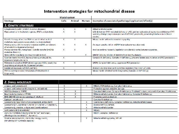 Intervention strategies for mitochondrial disease 