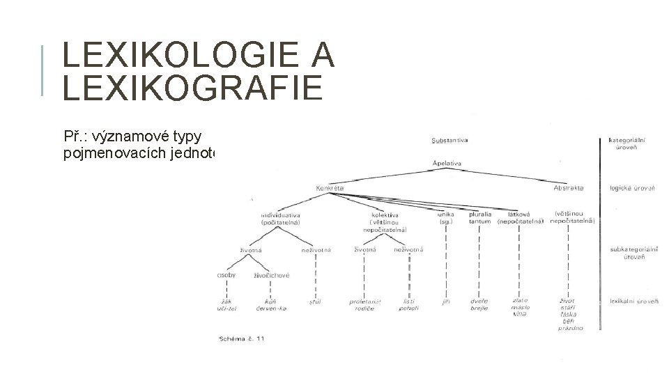 LEXIKOLOGIE A LEXIKOGRAFIE Př. : významové typy pojmenovacích jednotek 