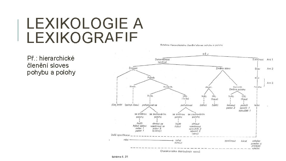 LEXIKOLOGIE A LEXIKOGRAFIE Př. : hierarchické členění sloves pohybu a polohy 