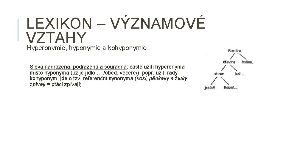 LEXIKON – VÝZNAMOVÉ VZTAHY Hyperonymie, hyponymie a kohyponymie Slova nadřazená, podřazená a souřadná: časté