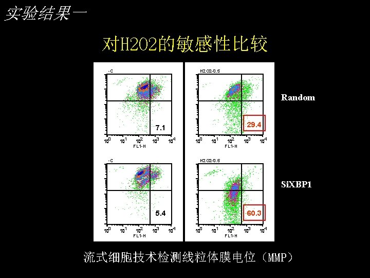 实验结果一 对H 2 O 2的敏感性比较 -C H 2 O 2 -0. 5 Random 29.