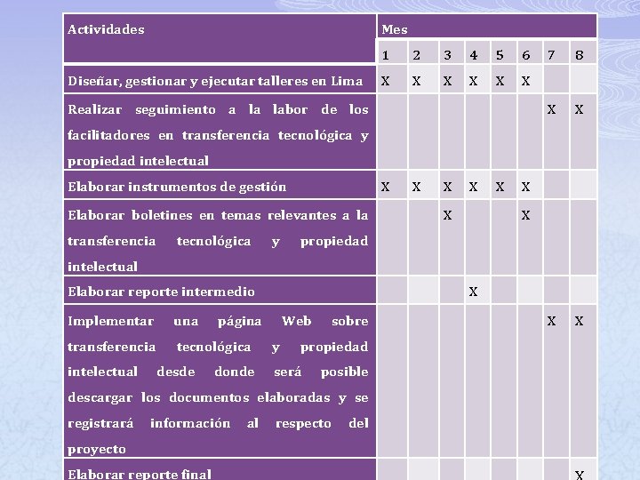 Actividades Mes 1 2 3 4 5 6 7 8 X X X X