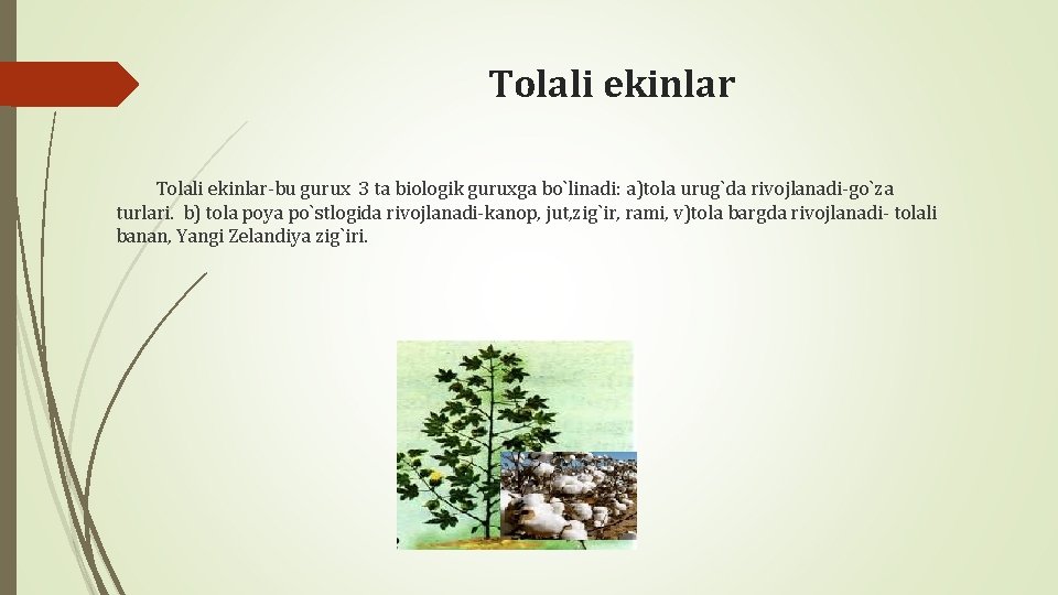 Tolali ekinlar-bu gurux 3 ta biologik guruxga bo`linadi: a)tola urug`da rivojlanadi-go`za turlari. b) tola