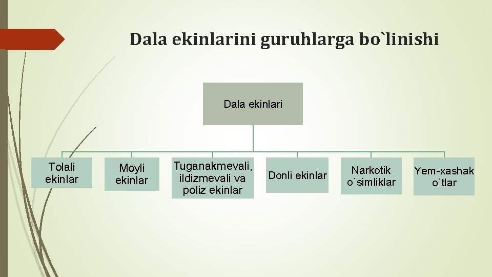 Dala ekinlarini guruhlarga bo`linishi Dala ekinlari Tolali ekinlar Moyli ekinlar Tuganakmеvali, ildizmеvali va poliz