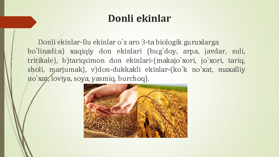 Donli ekinlar-Bu ekinlar o`z aro 3 -ta biologik guruxlarga bo`linadi: a) xaqiqiy don ekinlari