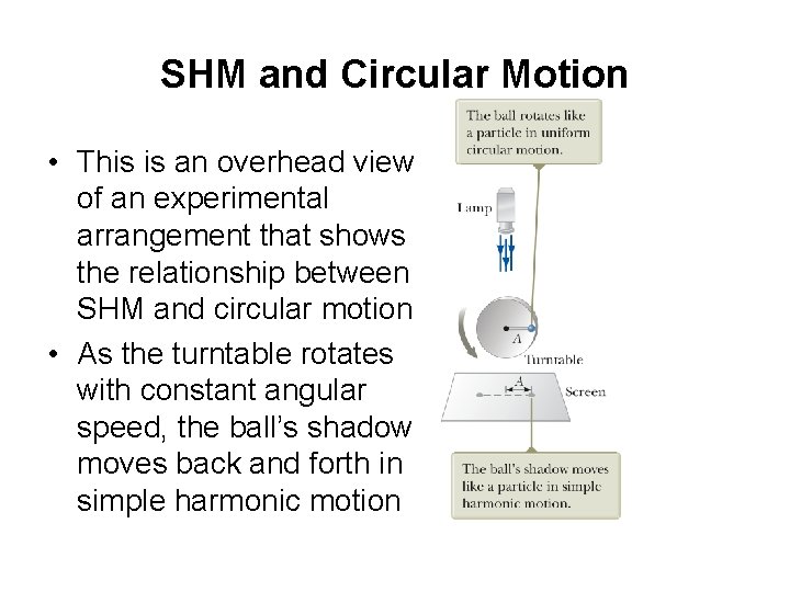 SHM and Circular Motion • This is an overhead view of an experimental arrangement