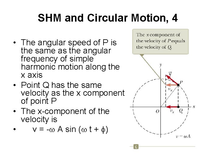 SHM and Circular Motion, 4 • The angular speed of P is the same