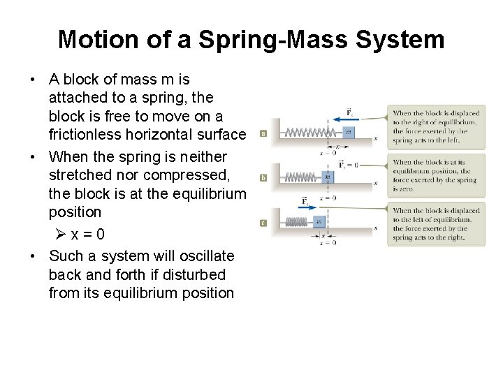 Motion of a Spring-Mass System • A block of mass m is attached to