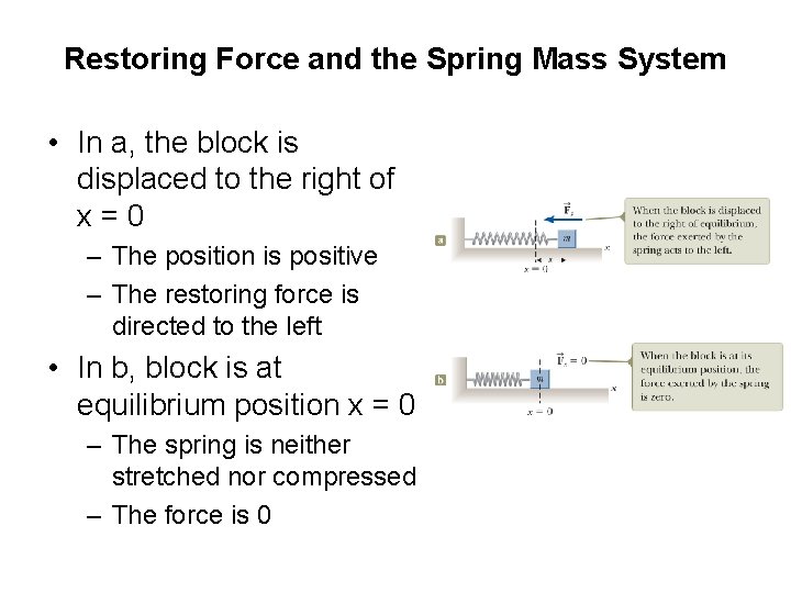 Restoring Force and the Spring Mass System • In a, the block is displaced