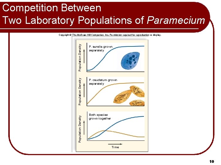 Competition Between Two Laboratory Populations of Paramecium Population Density P. caudatum grown separately Population