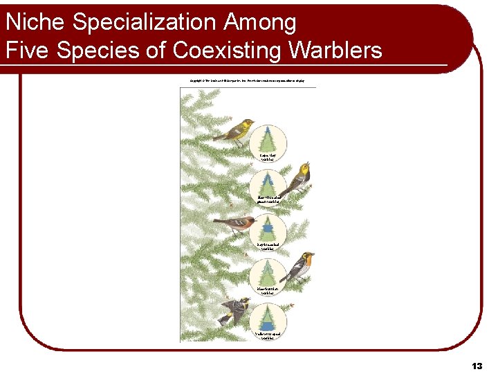 Niche Specialization Among Five Species of Coexisting Warblers Copyright © The Mc. Graw-Hill Companies,
