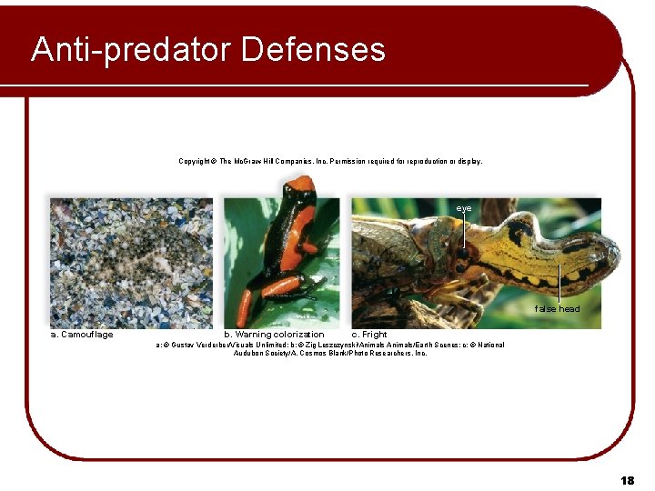 Anti-predator Defenses Copyright © The Mc. Graw-Hill Companies, Inc. Permission required for reproduction or