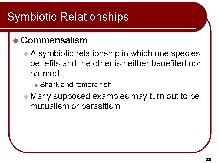 Symbiotic Relationships l Commensalism l A symbiotic relationship in which one species benefits and