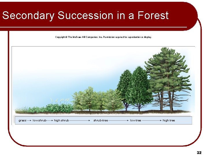 Secondary Succession in a Forest Copyright © The Mc. Graw-Hill Companies, Inc. Permission required