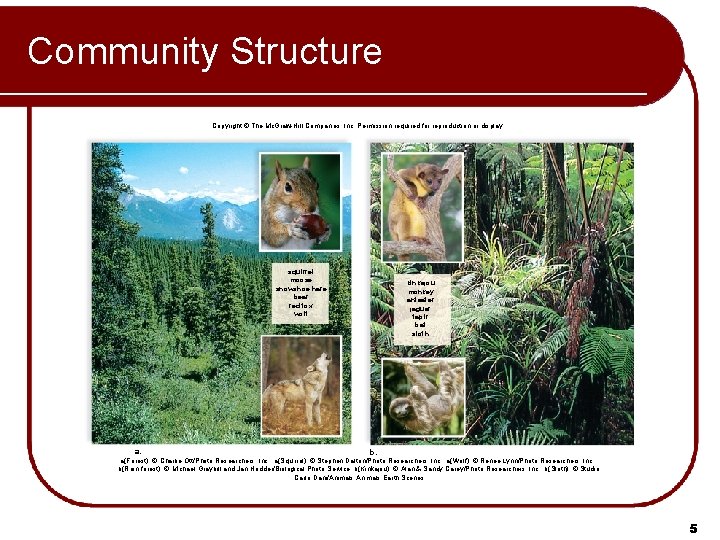 Community Structure Copyright © The Mc. Graw-Hill Companies, Inc. Permission required for reproduction or