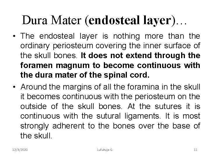 Dura Mater (endosteal layer)… • The endosteal layer is nothing more than the ordinary