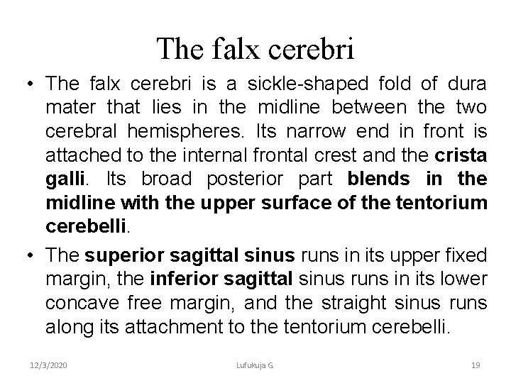 The falx cerebri • The falx cerebri is a sickle-shaped fold of dura mater