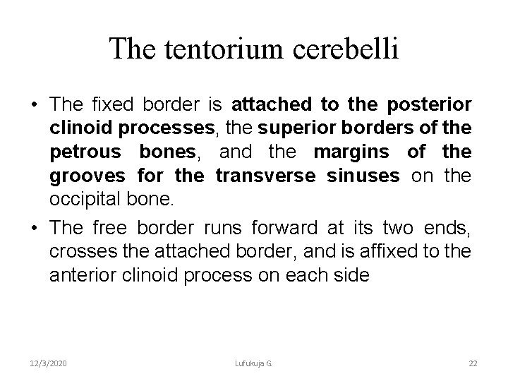 The tentorium cerebelli • The fixed border is attached to the posterior clinoid processes,