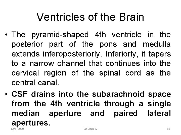 Ventricles of the Brain • The pyramid-shaped 4 th ventricle in the posterior part