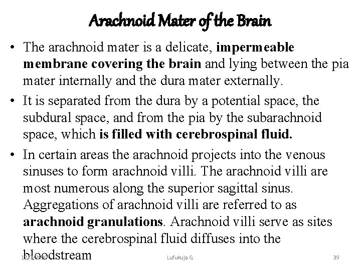 Arachnoid Mater of the Brain • The arachnoid mater is a delicate, impermeable membrane