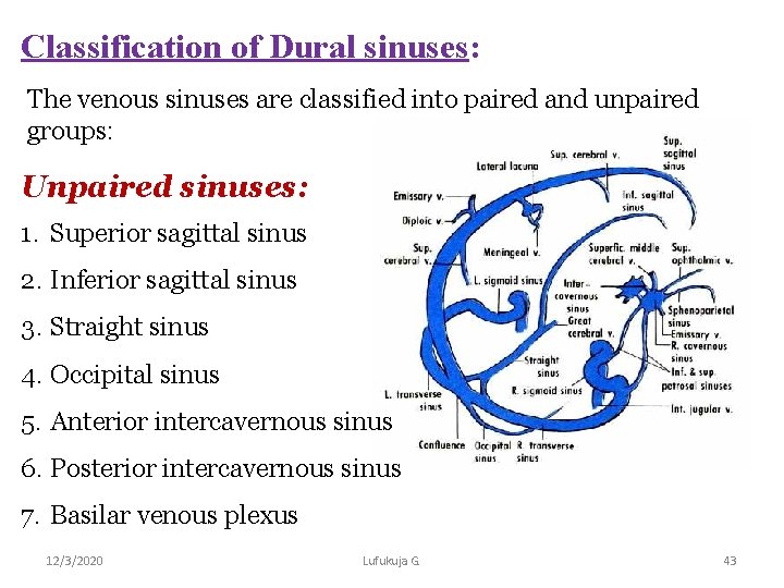 Classification of Dural sinuses: The venous sinuses are classified into paired and unpaired groups: