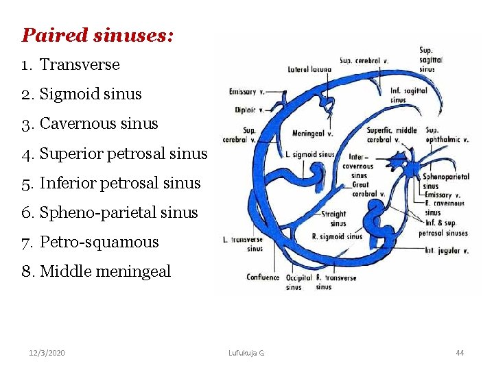 Paired sinuses: 1. Transverse 2. Sigmoid sinus 3. Cavernous sinus 4. Superior petrosal sinus