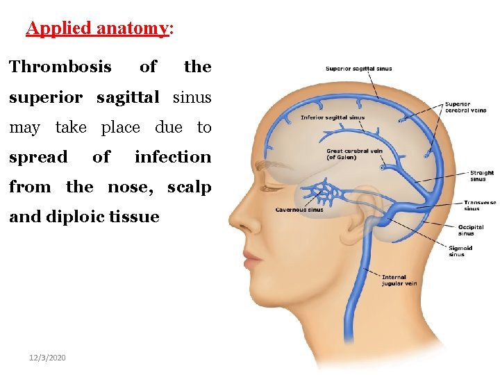 Applied anatomy: Thrombosis of the superior sagittal sinus may take place due to spread