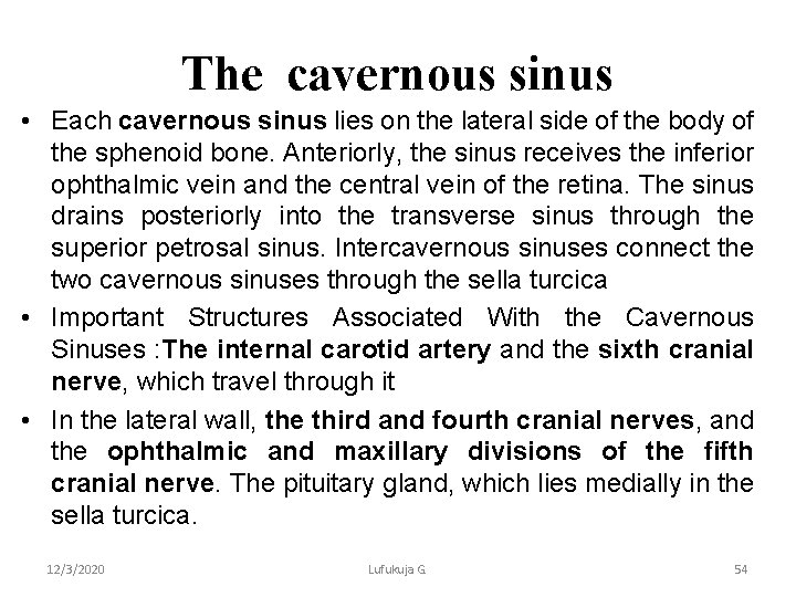 The cavernous sinus • Each cavernous sinus lies on the lateral side of the