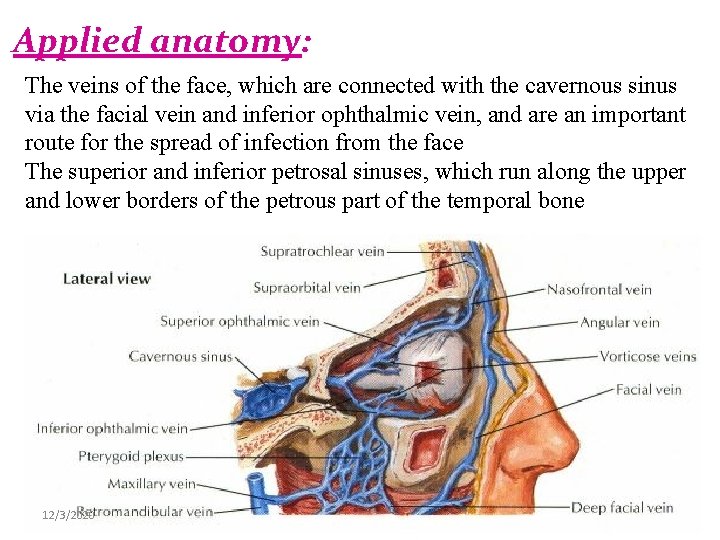 Applied anatomy: The veins of the face, which are connected with the cavernous sinus