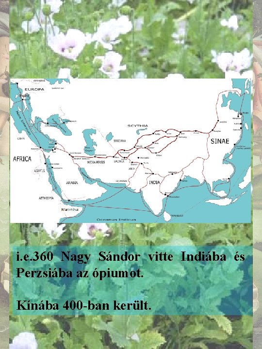 i. e. 360 Nagy Sándor vitte Indiába és Perzsiába az ópiumot. Kínába 400 -ban