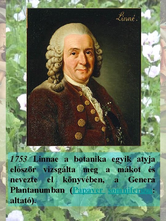 1753 Linnae a botanika egyik atyja először vizsgálta meg a mákot és nevezte el