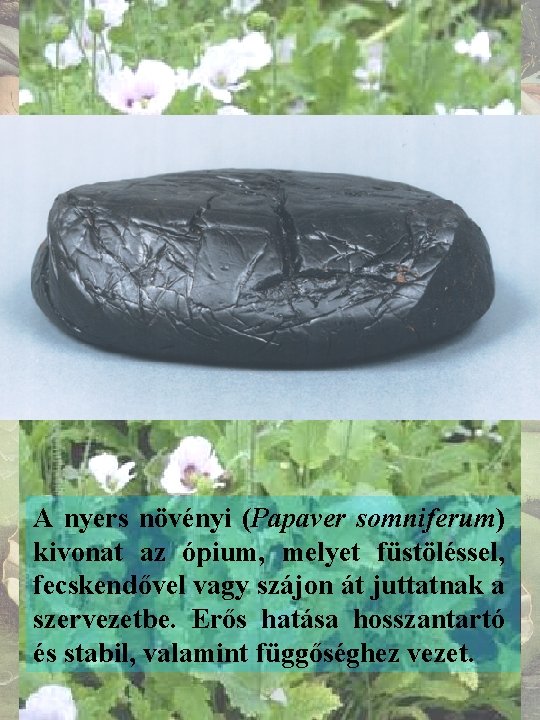 A nyers növényi (Papaver somniferum) kivonat az ópium, melyet füstöléssel, fecskendővel vagy szájon át