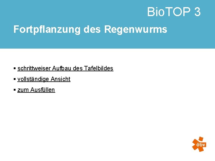 Bio. TOP 3 Fortpflanzung des Regenwurms § schrittweiser Aufbau des Tafelbildes § vollständige Ansicht