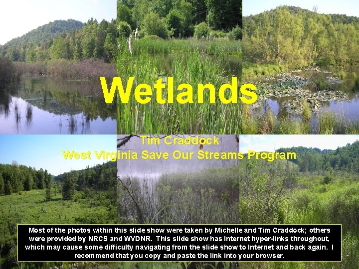 Wetlands Tim Craddock West Virginia Save Our Streams Program Most of the photos within