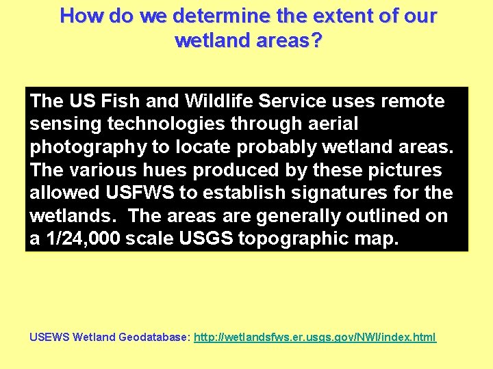 How do we determine the extent of our wetland areas? The US Fish and