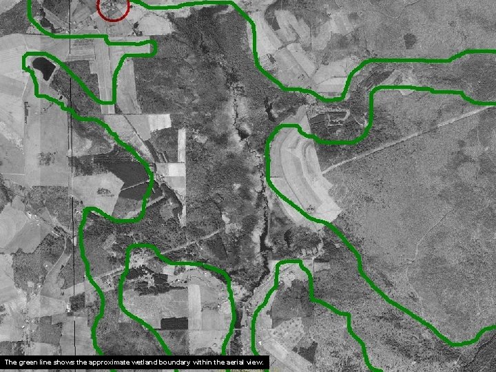 The green line shows the approximate wetland boundary within the aerial view. 