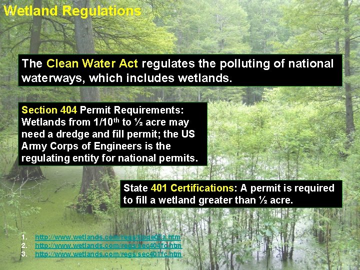 Wetland Regulations The Clean Water Act regulates the polluting of national waterways, which includes