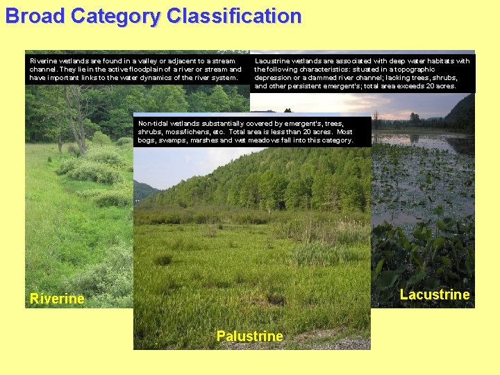 Broad Category Classification Riverine wetlands are found in a valley or adjacent to a