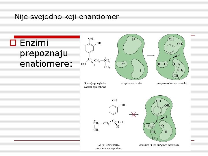 Nije svejedno koji enantiomer o Enzimi prepoznaju enatiomere: 