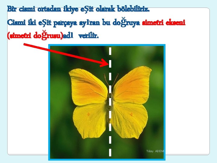 Bir cismi ortadan ikiye eşit olarak bölebiliriz. Cismi iki eşit parçaya ayıran bu doğruya