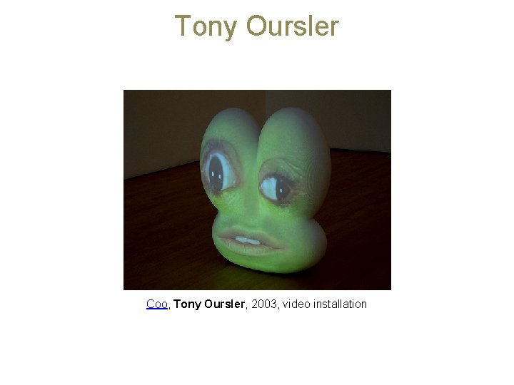 Tony Oursler Coo, Tony Oursler, 2003, video installation 